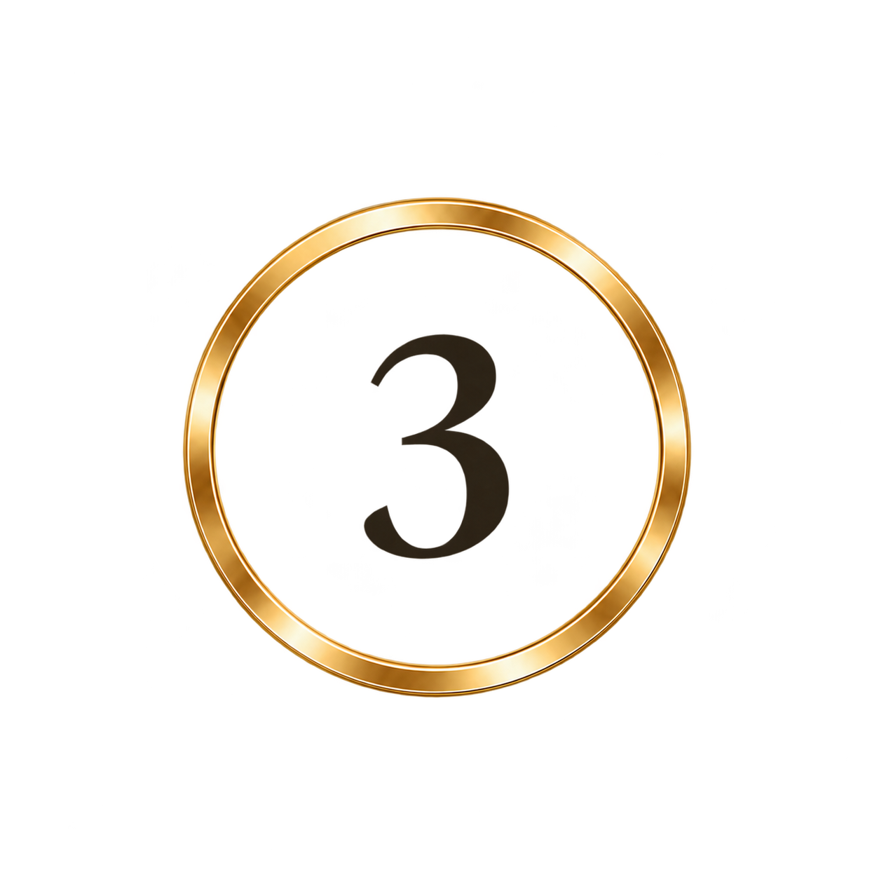 num&eacute;ro 3